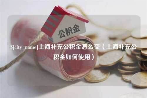 酒泉上海补充公积金怎么交（上海补充公积金如何使用）